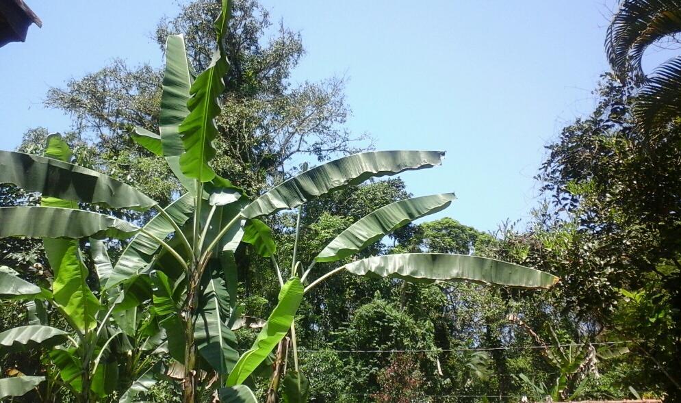 Chales Bangalos Itamambuca Ubatuba Exteriér fotografie