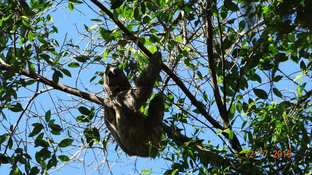 Chales Bangalos Itamambuca Ubatuba Exteriér fotografie